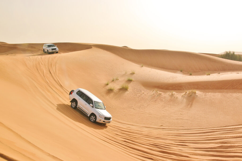 Half Day Desert Safari Abu Dhabi