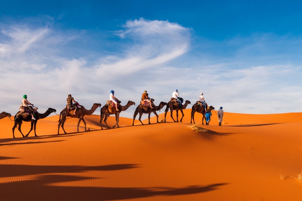 Camel-Trekking-Tour-Abu-Dhabi​