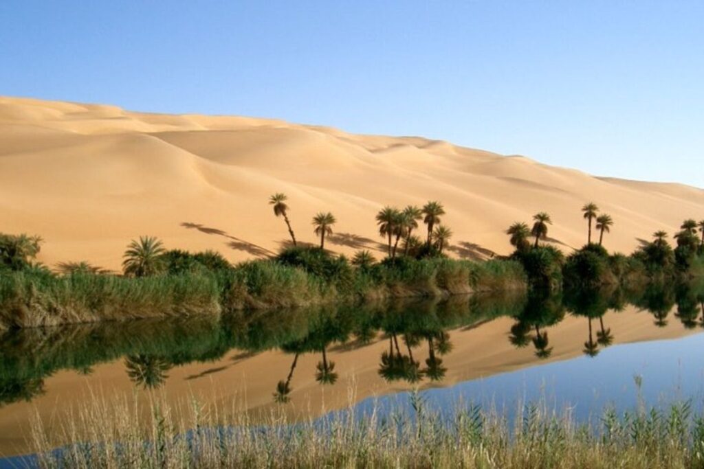 Private Liwa Full Day Safari